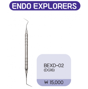 엔도익스플로러 (endo explorer)