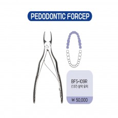 상악유치  소아용포셉