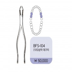 상악대구치(10S) 좌우공용