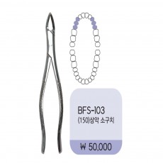 상악 중절치소구치(150) 좌우공용